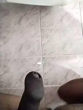 Snapshot of max_pane98 chatting on February 6, 2025, 12:43 am max pane98 online show from February 6, 2025, 12:43 am