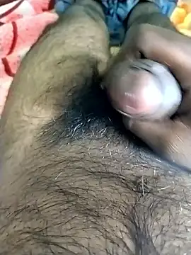 jellydicks online show from November 9, 2025, 11:52 am