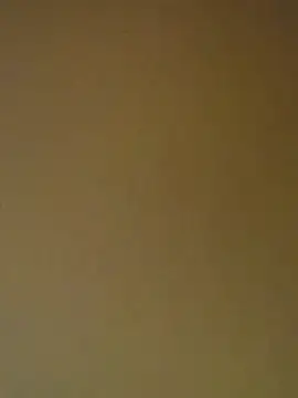 Tamilrojanew online show from April 11, 2026, 5:23 am