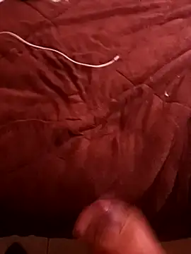 pedritolobito online show from December 17, 2024, 4:11 pm