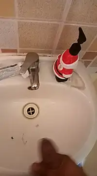 pedritolobito online show from January 10, 2025, 2:45 pm