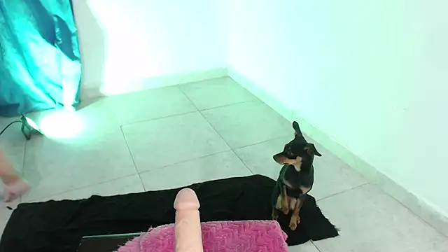 April sexycurvi online show from November 21, 2025, 1:37 am