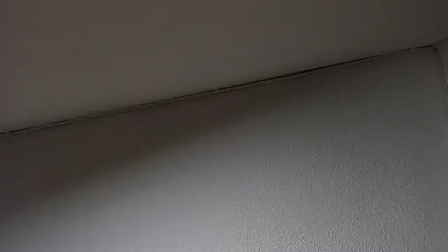 Dimitri higth420 online show from March 15, 2025, 8:48 am