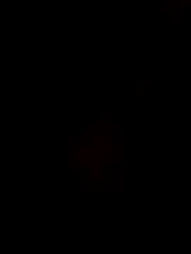 Gujrat player online show from December 28, 2024, 2:53 pm