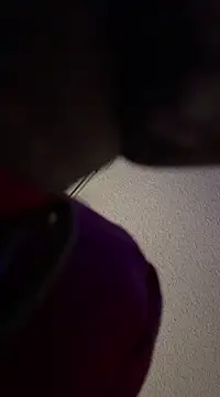 torilux online show from January 21, 2025, 11:56 am