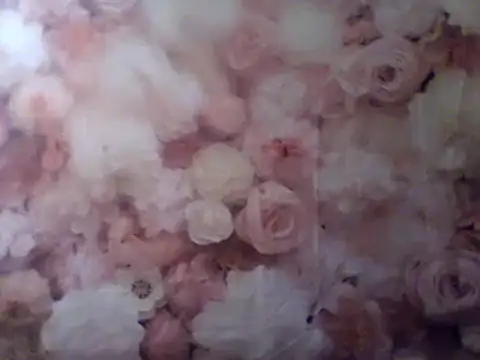 Snapshot of camiliaskye chatting on December 31, 2024, 4:49 am camiliaskye online show from December 31, 2024, 4:49 am