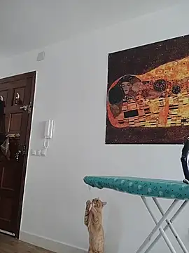 Satiro Sevilla online show from November 12, 2025, 9:32 am