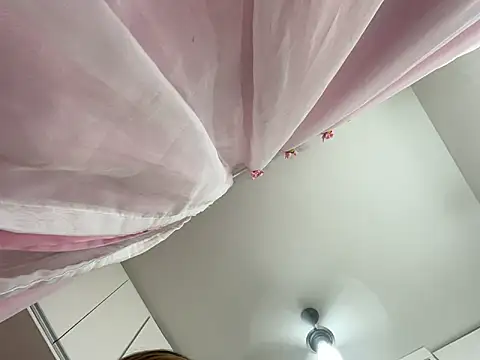 Snapshot of lariic chatting on March 21, 2025, 12:29 am lariic online show from March 21, 2025, 12:29 am