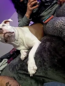 Snapshot of Jokergotherwett chatting on March 3, 2026, 8:09 am Jokergotherwett online show from March 3, 2026, 8:09 am