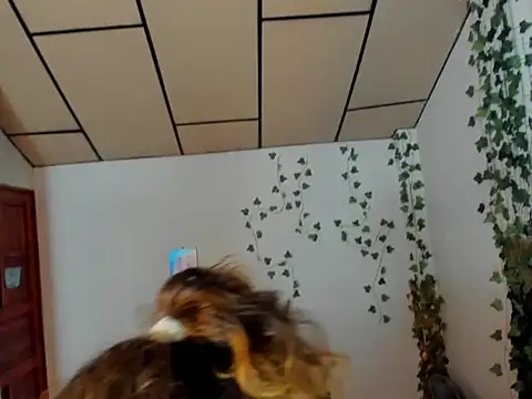 Snapshot of fulfill_fantasies1 chatting on February 17, 2026, 12:56 pm fulfill fantasies1 online show from February 17, 2026, 12:56 pm