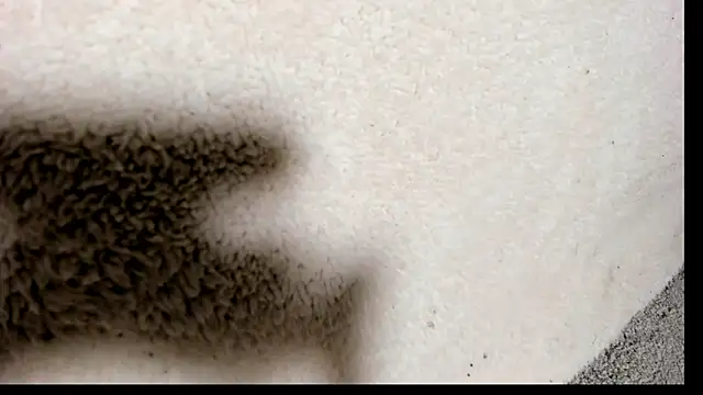 Brock hurn1 online show from September 15, 2025, 2:00 am