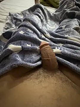 Snapshot of hamed-697 chatting on February 1, 2026, 8:46 am hamed-697 online show from February 1, 2026, 8:46 am