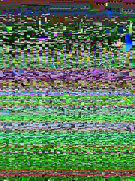 desiduzz21 online show from February 22, 2025, 11:24 am