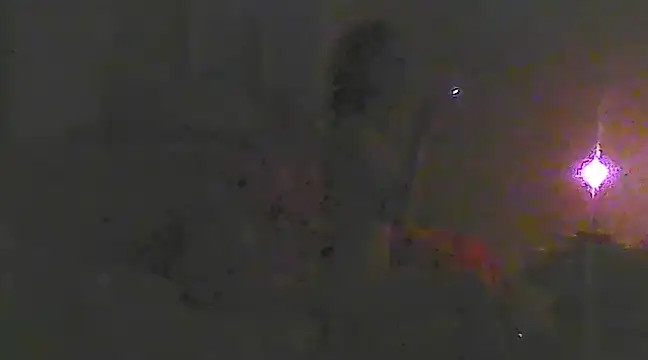 Snapshot of Just_Gabriella chatting on March 19, 2025, 10:33 am Just Gabriella online show from March 19, 2025, 10:33 am