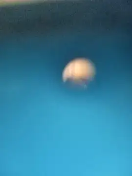 Snapshot of Sonya5156 chatting on February 15, 2025, 3:28 pm Sonya5156 online show from February 15, 2025, 3:28 pm