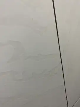 Snapshot of picatorta19 chatting on December 17, 2025, 6:25 pm picatorta19 online show from December 17, 2025, 6:25 pm