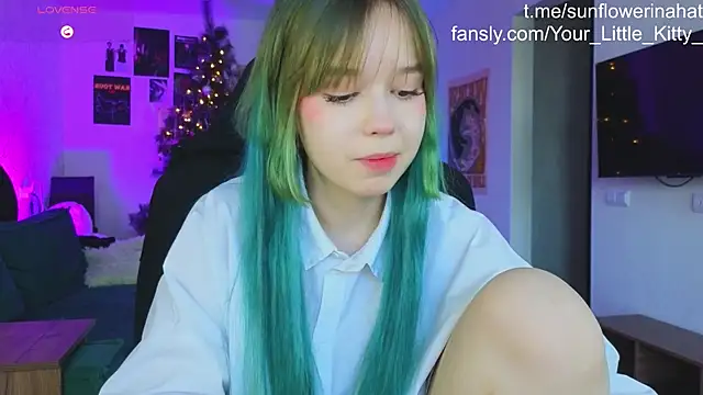 812sunflowerinahat online show from December 20, 2024, 9:32 am