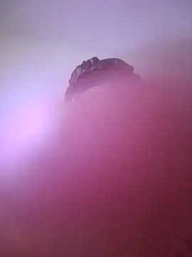 giuliana andrade online show from January 22, 2025, 10:59 pm