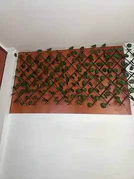 Emily Trujillo online show from November 8, 2025, 5:34 pm