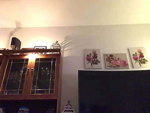 Hannaforyou2 online show from December 28, 2024, 1:59 pm