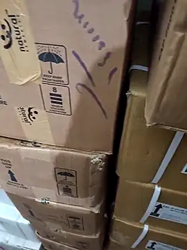 nupa230780 online show from December 21, 2025, 6:31 am