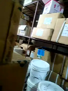 nupa230780 online show from February 4, 2026, 9:59 am