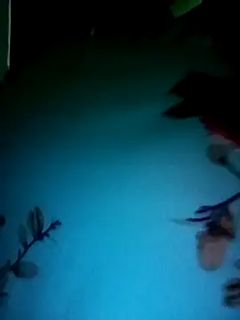 Snapshot of gunjan22 chatting on December 31, 2024, 5:22 am gunjan22 online show from December 31, 2024, 5:22 am