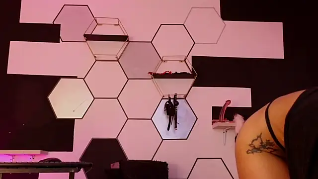 haileycat online show from February 6, 2025, 4:53 am