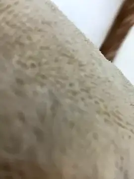 mjnas online show from December 4, 2024, 8:12 am