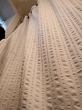 Brickstash online show from November 4, 2025, 1:10 pm