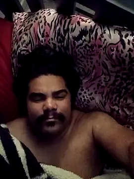 Brickstash online show from November 30, 2025, 11:25 am