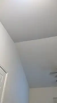 Playmate86 online show from December 2, 2024, 5:37 am