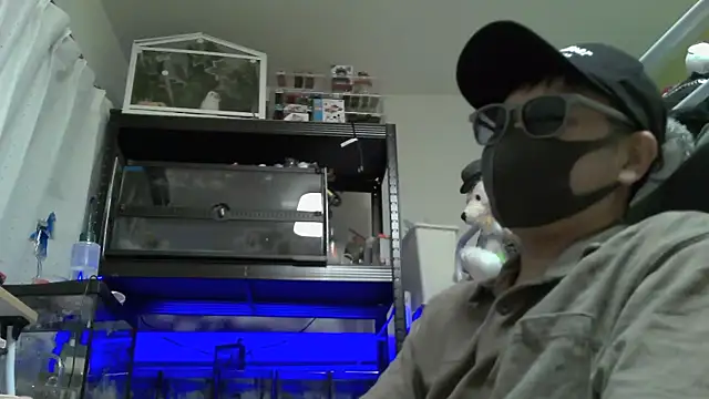 Snapshot of Owl1216 chatting on December 4, 2024, 2:37 pm Owl1216 online show from December 4, 2024, 2:37 pm