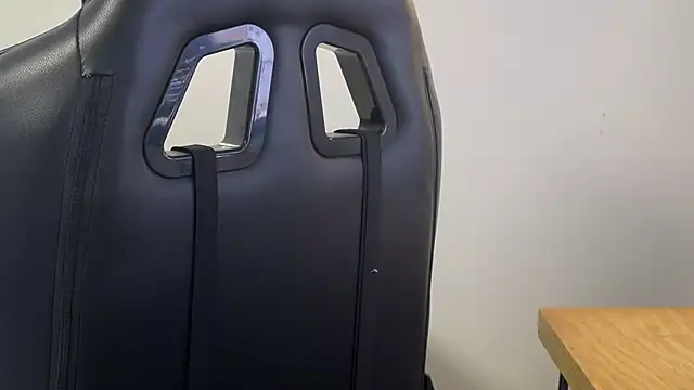 Snapshot of Dylansd chatting on December 27, 2024, 8:50 pm Dylansd online show from December 27, 2024, 8:50 pm