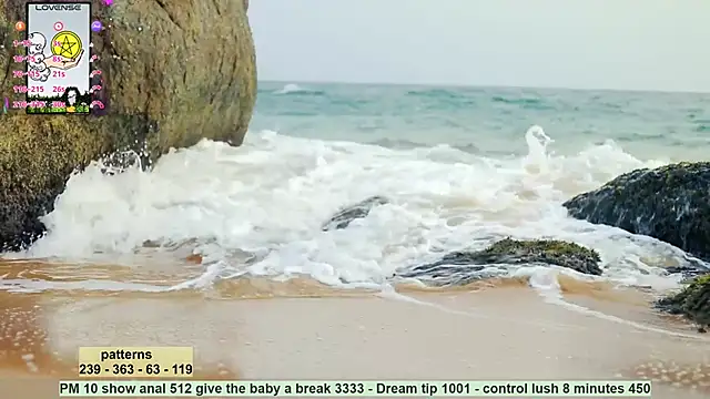 Snapshot of _sex_in_paradise_ chatting on December 17, 2024, 11:59 pm  sex in paradise  online show from December 17, 2024, 11:59 pm