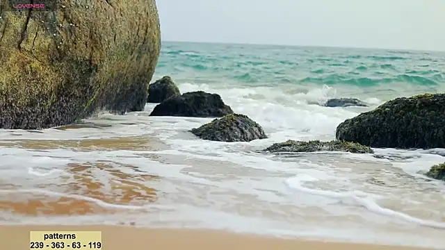 Snapshot of _sex_in_paradise_ chatting on January 20, 2025, 11:54 pm  sex in paradise  online show from January 20, 2025, 11:54 pm