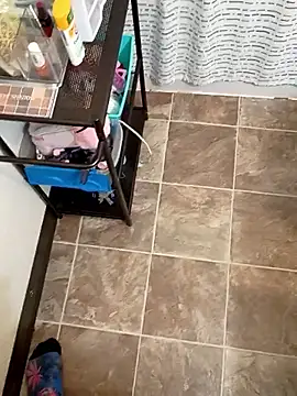 StellerCock online show from February 5, 2026, 7:57 am