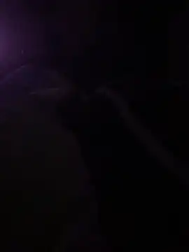 Snapshot of solomec chatting on March 6, 2025, 10:26 pm solomec online show from March 6, 2025, 10:26 pm