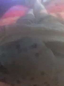 Snapshot of solomec chatting on September 25, 2025, 6:39 am solomec online show from September 25, 2025, 6:39 am