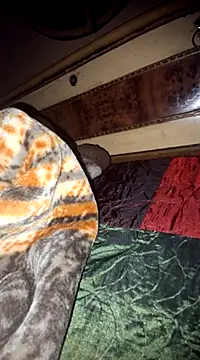 menakshiiikaur online show from March 11, 2025, 5:35 pm