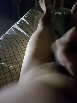 pedronovinho123 online show from December 2, 2024, 2:53 am