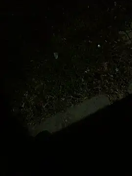 Snapshot of Nicusorescu26 chatting on October 14, 2025, 3:18 am Nicusorescu26 online show from October 14, 2025, 3:18 am