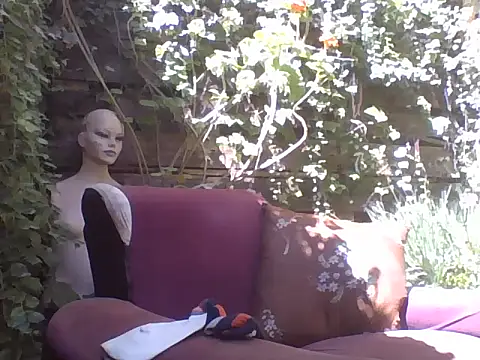 sweetbabyass online show from March 14, 2025, 4:51 pm