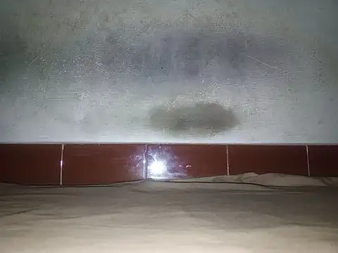 alansteer online show from January 18, 2026, 8:23 pm