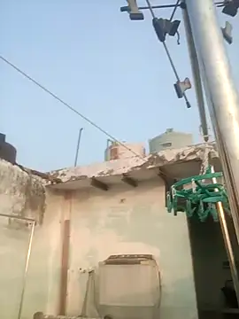 sailord online show from January 29, 2025, 11:30 am