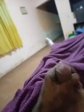 carloshot31 online show from March 31, 2026, 8:48 am