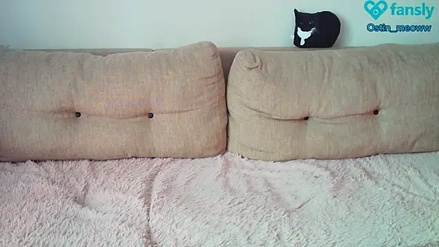 Ostin meow online show from February 22, 2025, 7:45 am