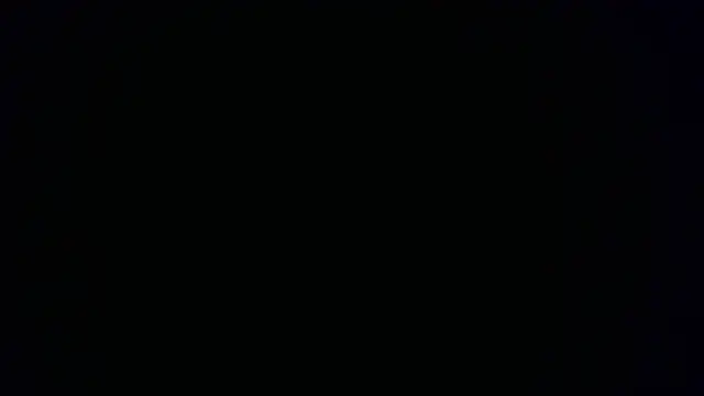 W N G S online show from October 15, 2025, 8:20 pm