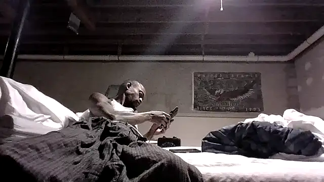 KinGKane84 online show from December 24, 2024, 6:44 am