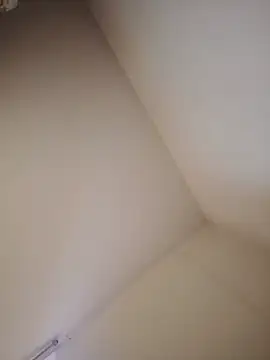 Fer-nand online show from December 6, 2024, 1:44 pm